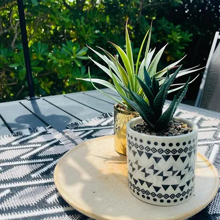 아파트 Cosy Balneo Et Terrasse